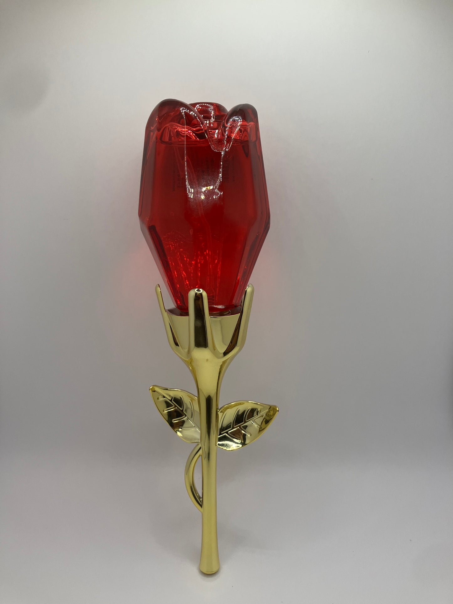 Golden sweet Rose